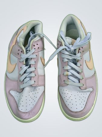Nike Dunk Low Sneakers