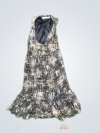 Zara Basic Sleeveless Dress