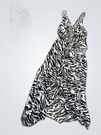Zebra Print Dress