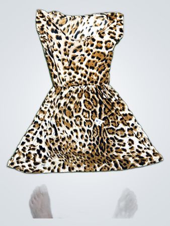 Leopard Print Dress