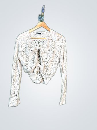 VILA Lace Cropped Top
