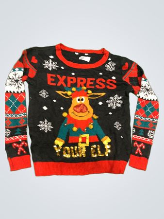 Express Weihnachtspullover