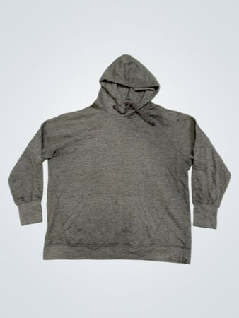 Champion Authentic Athleticwear Hoodie
