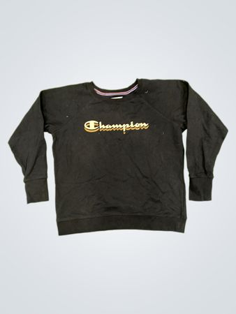 Champion Authentic Athleticwear Sweatshirt