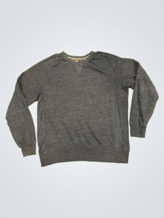 Champion Authentic Athletic Apparel Sweatshirt