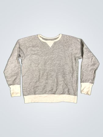 Champion Authentic Athleticwear Graues Sweatshirt