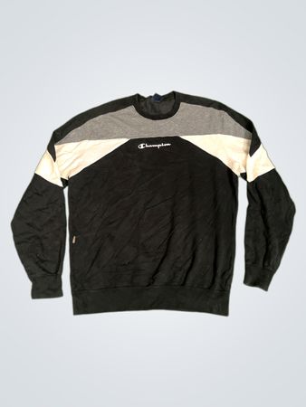 Champion Colorblock Crewneck Sweatshirt