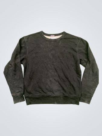 Champion Authentic Athleticwear Crewneck Sweatshirt