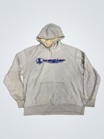 Champion Authentic Athleticwear Hoodie