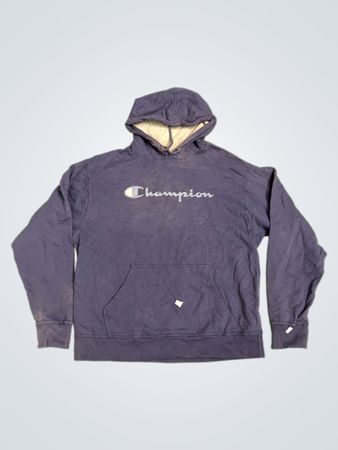 Champion Authentic Athleticwear Hoodie