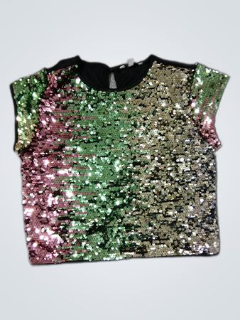 Multicolored Sequined Blouse