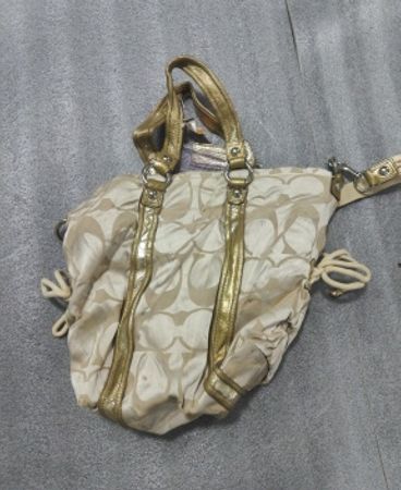 Coach Beige Signature Tote Bag