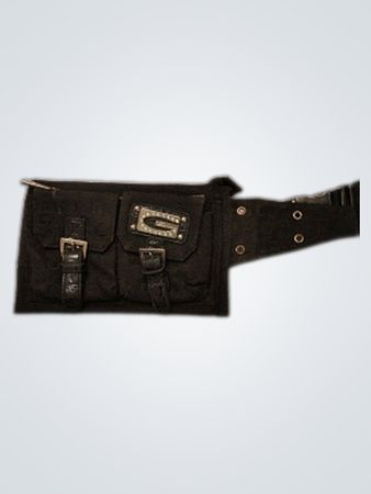 Gucci Belt Bag