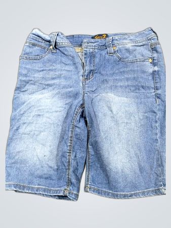 Seven7 Denim Shorts
