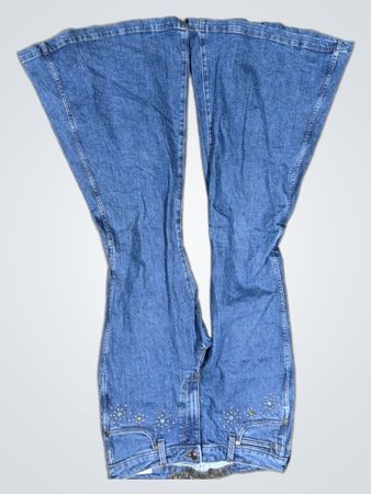 Wrangler Flared Jeans with Embellishments