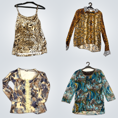 Ensemble de Blouses et Tops Imprimés : LIDA, Biaggini, Victor et Plus d'Imprimés Animaux