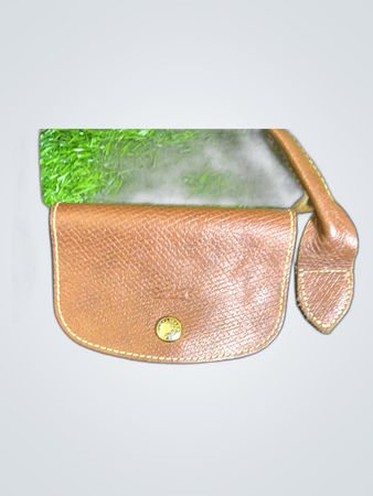 Longchamp Le Pliage Tote Bag