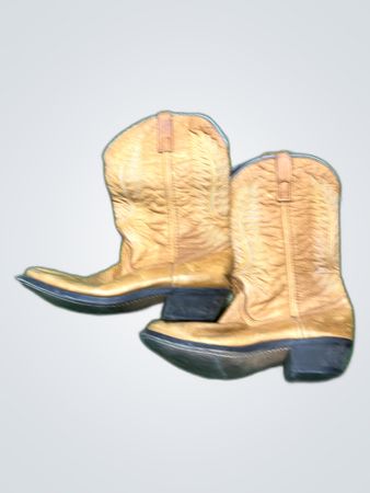 Cowboy Boots