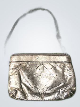 Coach Metallic Leather Shoulder Bag