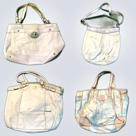 Coach Leather Bag Bundle