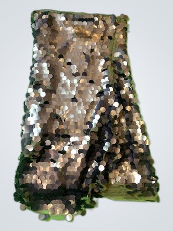 Sequin Fabric