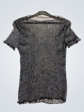 Sheer Sparkly Blouse