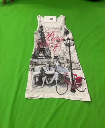 Paris Souvenir Dress