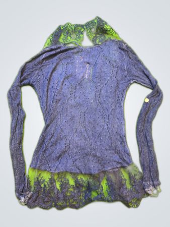 Sheer Lace Trim Blouse