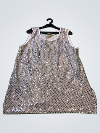 Unbranded Silver Sequined Sleeveless Top