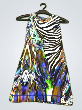 Multicolor Zebra Print Sleeveless Mini Dress
