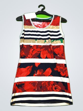 Bonita Floral Stripe Dress