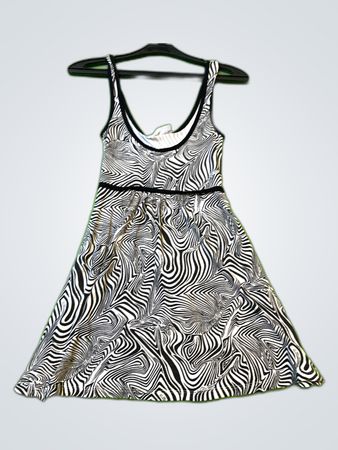Clockhouse Zebra Print Dress