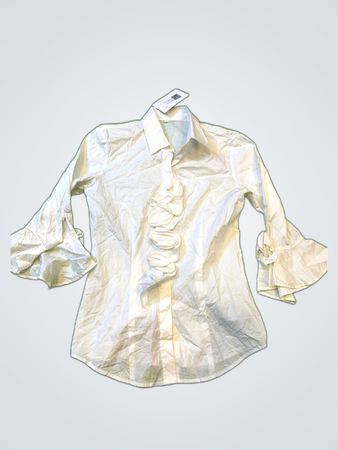 Zara Ruffle Sleeve Blouse
