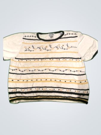 Alfred Dunner Embroidered Striped Blouse