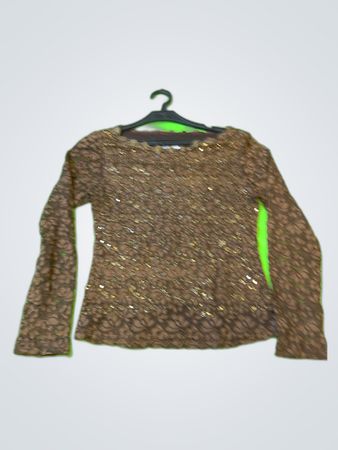Brown Sequin Long Sleeve Blouse