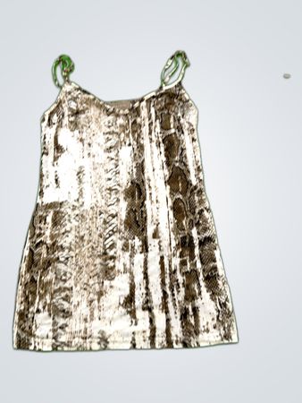 Orna Farho Paris Snake Print Dress