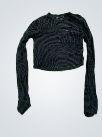 Unbranded Black Zebra Print Sheer Long Sleeve Crop Top