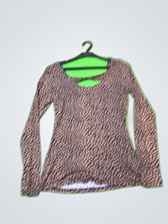 Morgan Leopard Print Long Sleeve Blouse