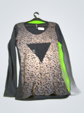 Guess Leopard Print Long Sleeve Top