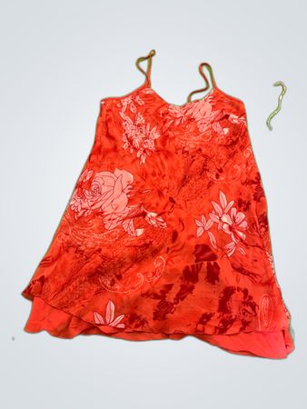 Red Floral Slip Dress