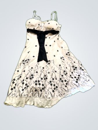 Unbranded Floral Embroidered Mini Dress