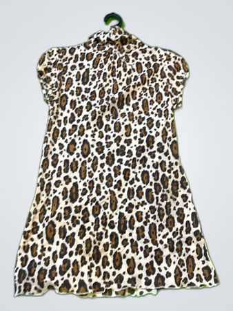 Leopard Print Dress
