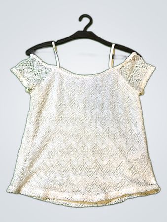 Zara Sheer Lace Blouse