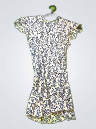 Floral Print Mini Dress