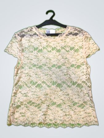 Zara Sheer Lace Blouse