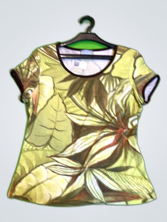 Fashion Express Printed Hawaiian Shirt