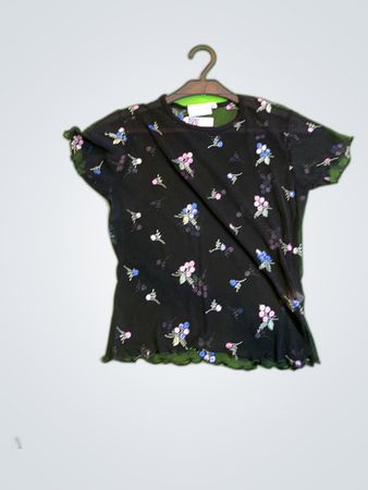H&M Floral Embroidered Sheer Blouse