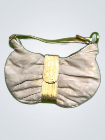 Beige Metallic Hobo Handbag