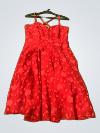 Red Floral Dress