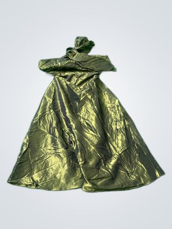 Golden Coat